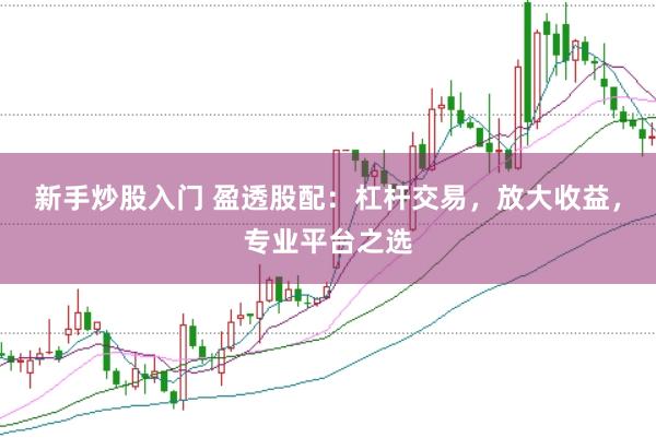 新手炒股入门 盈透股配：杠杆交易，放大收益，专业平台之选