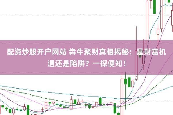 配资炒股开户网站 犇牛聚财真相揭秘：是财富机遇还是陷阱？一探便知！