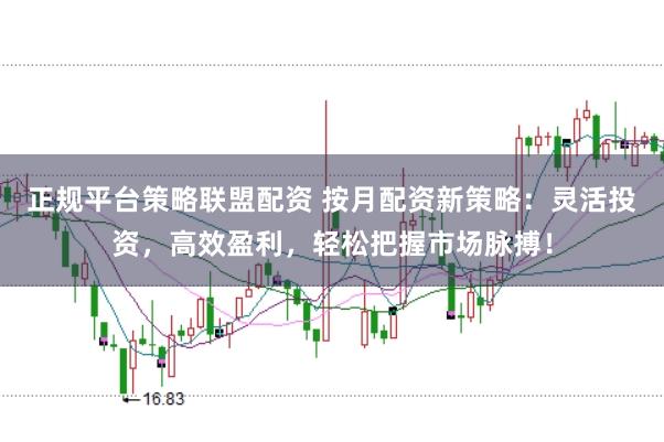 正规平台策略联盟配资 按月配资新策略:灵活投资,高效盈利,轻松把握市场脉搏!