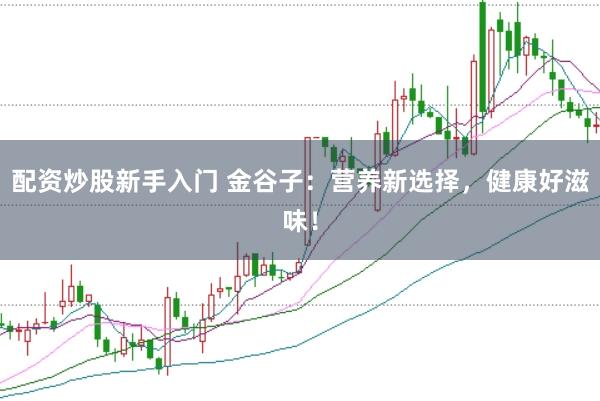 配资炒股新手入门 金谷子:营养新选择,健康好滋味!