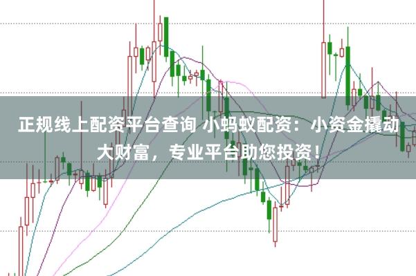 正规线上配资平台查询 小蚂蚁配资:小资金撬动大财富,专业平台助您投资!