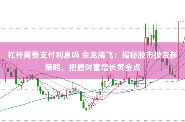 杠杆需要支付利息吗 金龙腾飞：揭秘股市投资新策略，把握财富增长黄金点