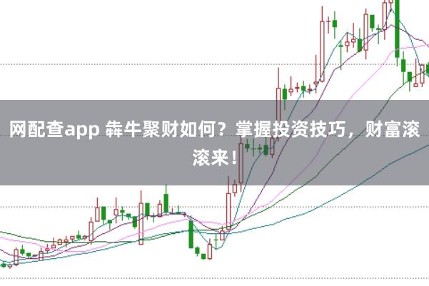 网配查app 犇牛聚财如何?掌握投资技巧,财富滚滚来!