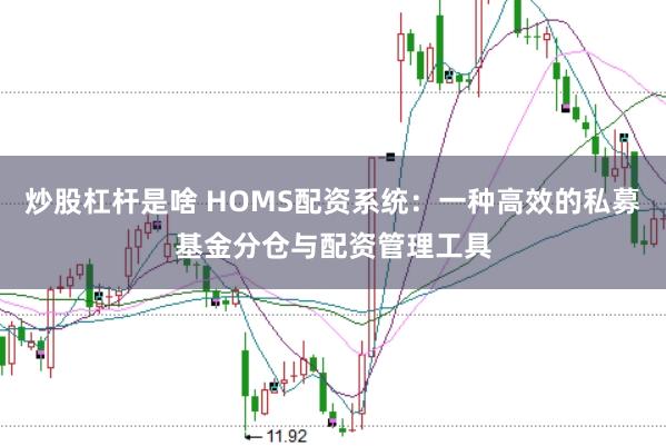 炒股杠杆是啥 HOMS配资系统：一种高效的私募基金分仓与配资管理工具