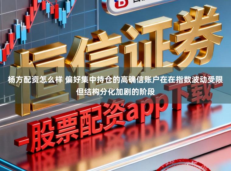 杨方配资怎么样 偏好集中持仓的高确信账户在在指数波动受限但结构分化加剧的阶段