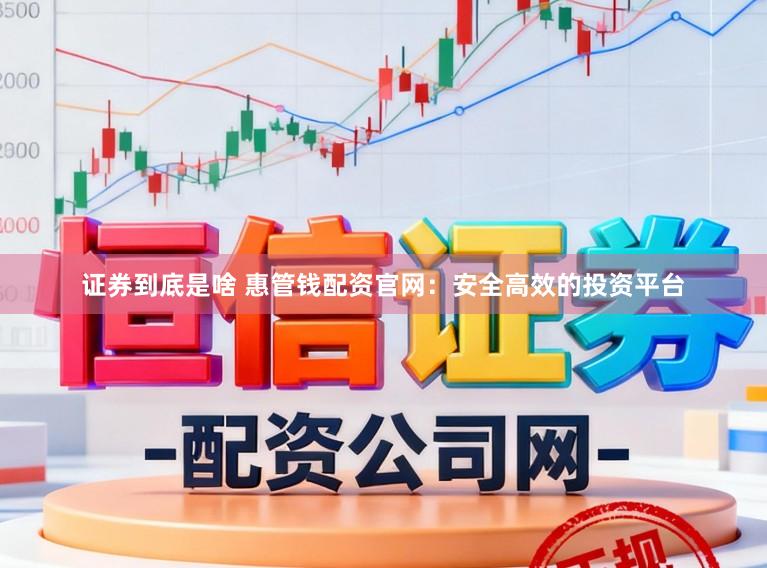 证券到底是啥 惠管钱配资官网：安全高效的投资平台