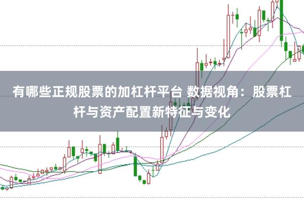 有哪些正规股票的加杠杆平台 数据视角：股票杠杆与资产配置新特征与变化